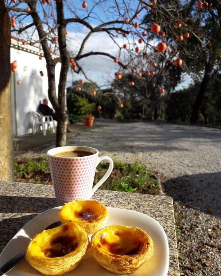 Hostal Quinta Da Barroquinha Vale de Prazeres Exterior foto